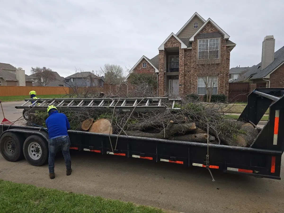 Expert Tree Removal with proper safety equipment in Thompson Ridge